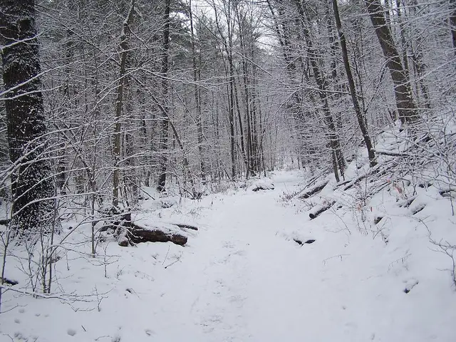 Snowy Steep Part