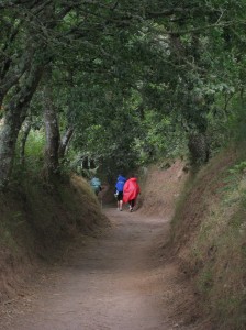 Hikers on the Camino