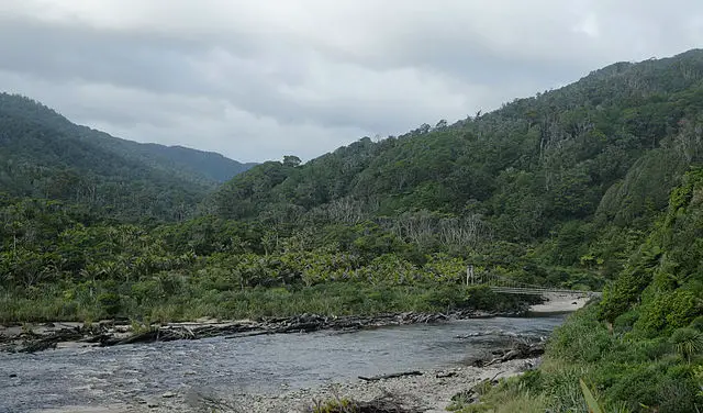 Kohaihai River in Kahurangi National Park