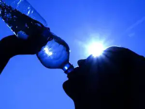 Drinking Water In The Heat