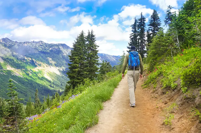 Hiker on Trail