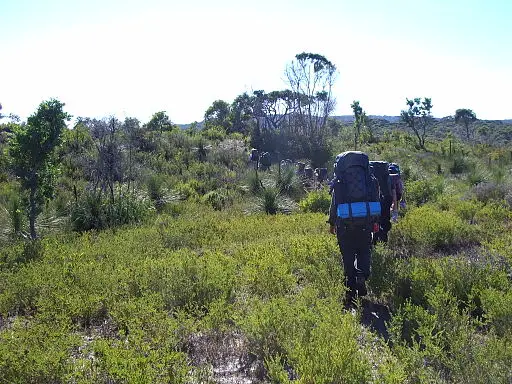 Hikers