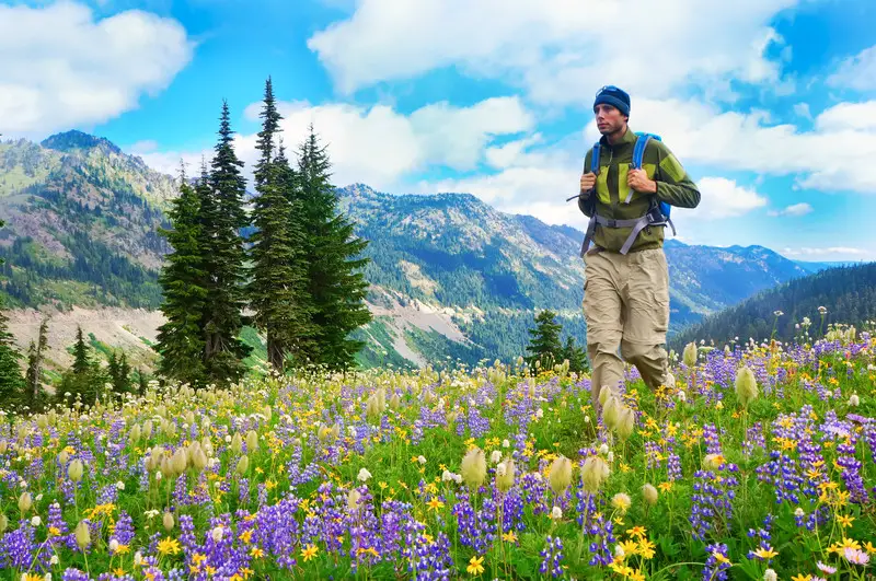 Hiker Walking In Alpine Scene