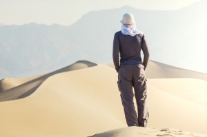 Hiker In The Desert