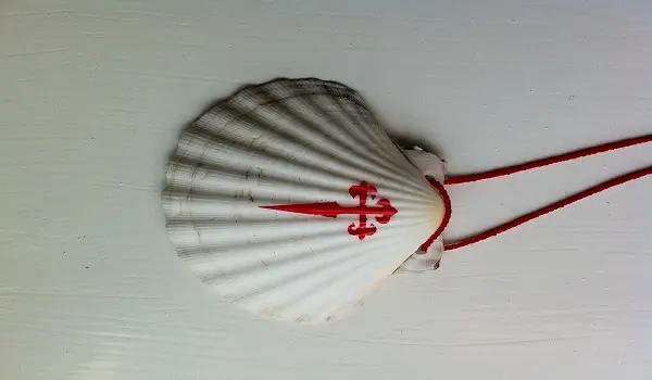 The Camino Shell