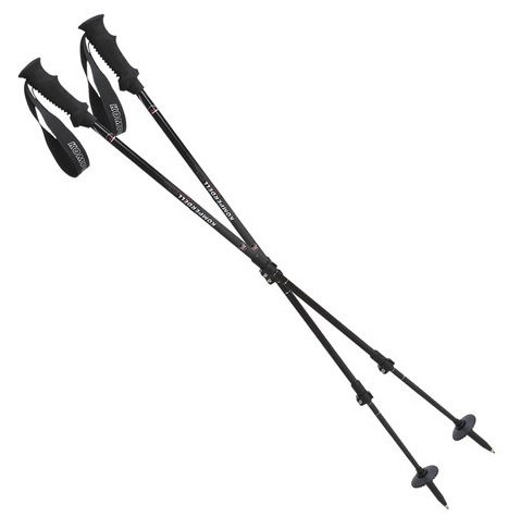 pure trek hiking pole