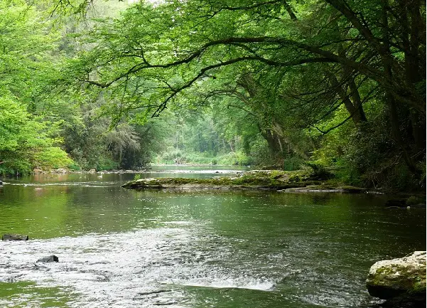 How To Make River Water Safe To Drink - Coolhikinggear.com