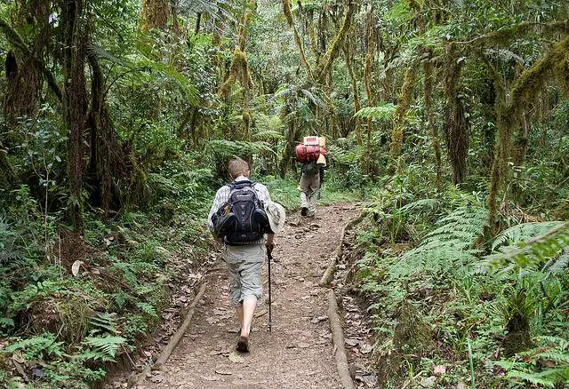 Daypack On The Trail