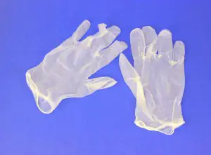 Vinyl Gloves
