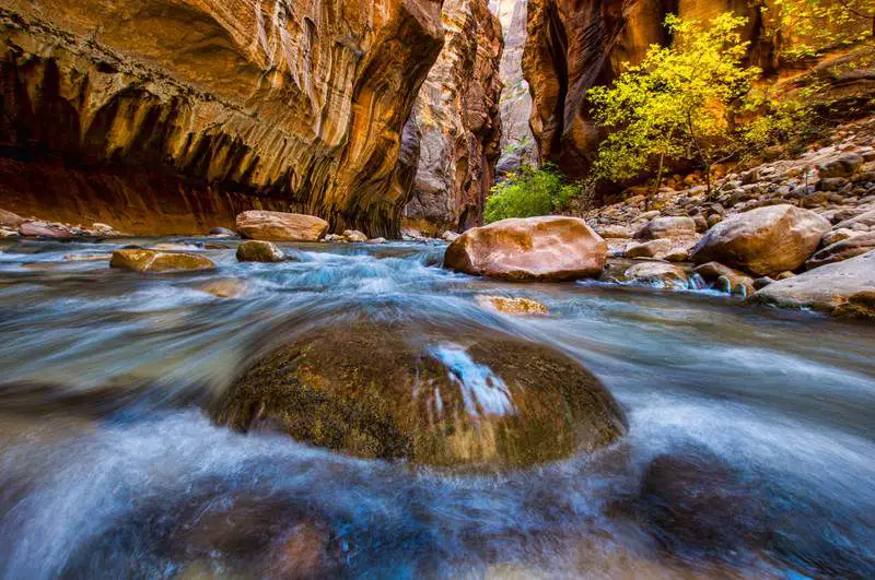 Virgin Narrows River in Zion National Park