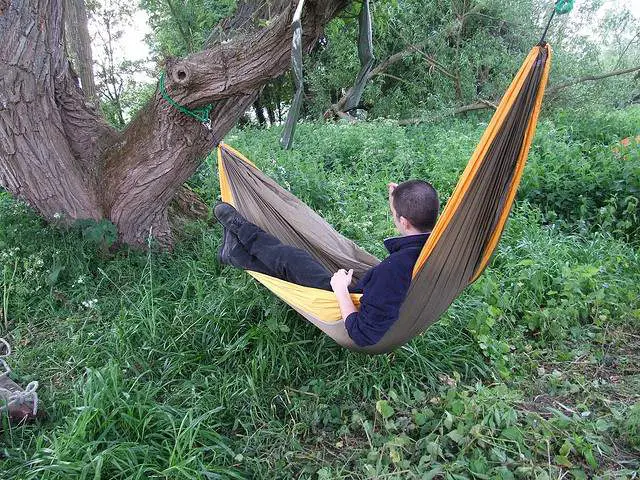 Hammock