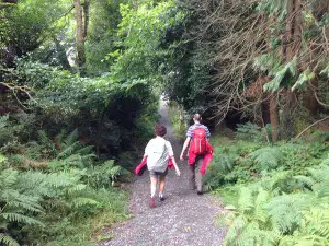Hikers On The Trail