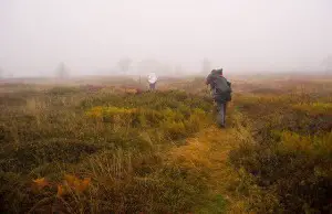 Hiking Through Fog