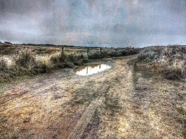 Puddle On The Trail