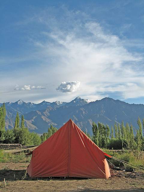 Cabin Tent