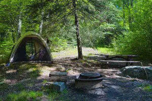 Camping Trees Shelter