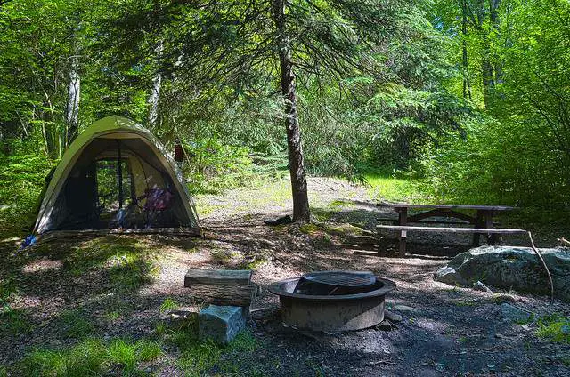 Camping Trees Shelter