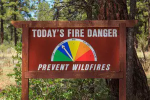 Forest Fire Sign