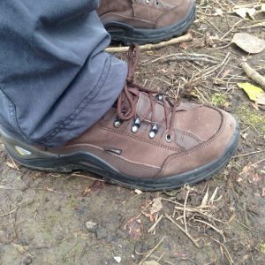 Lowa Mens Renegade II GTX Lo Hiking Shoe On the Trail Side Shot