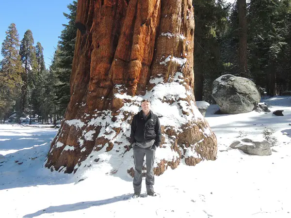 Colm Beside A Giant Sequoia Tree