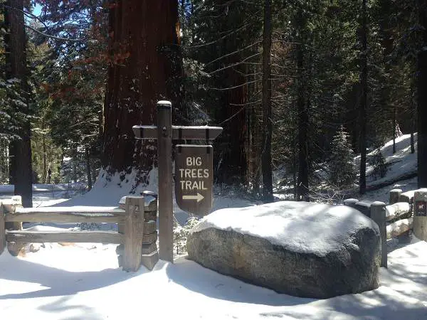 The Big Trees Trail Sign