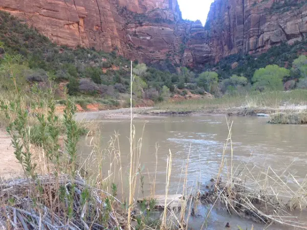 Virgin River In Zion