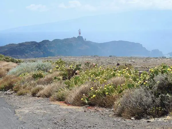 Lighthouse Near Teno Alto