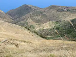Scenic View In Teno Alto