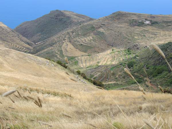 Scenic View In Teno Alto