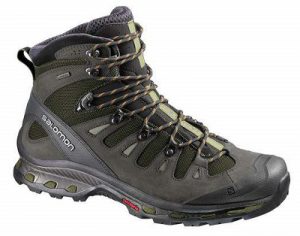 Salomon Quest 4D 2 GTX Hiking Boots For Men CT