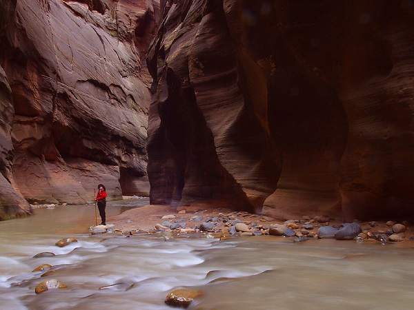 Zion Hiker