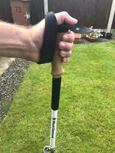 Alpine Carbon Cork Trekking Poles in Hand Strap