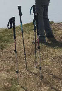 Some Trekking Poles in the Ground
