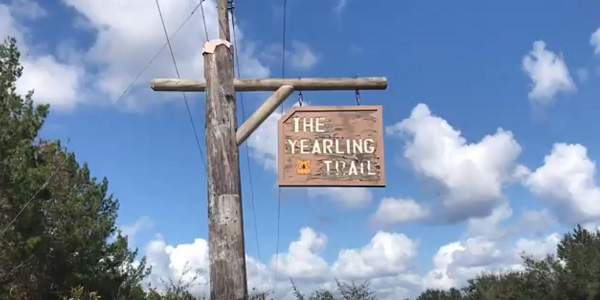 The Yearling Trail