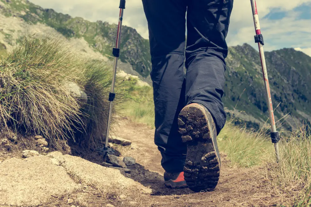 The Trailbuddy Trekking Poles