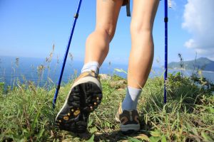 Trekking Pole vs Walking Stick