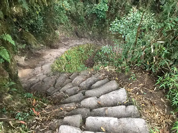 Steps On The Inca Trail