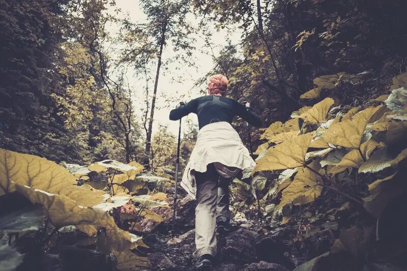 Woman-Hiking-Through-Forest-In-Mountains